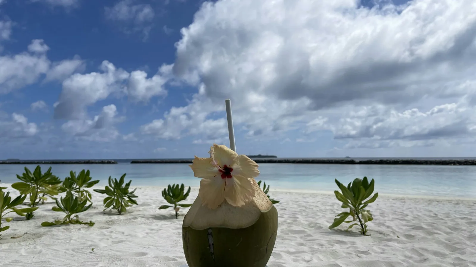 Table de plats végétariens maldiviens avec roshi, curry de légumes et lunu miris