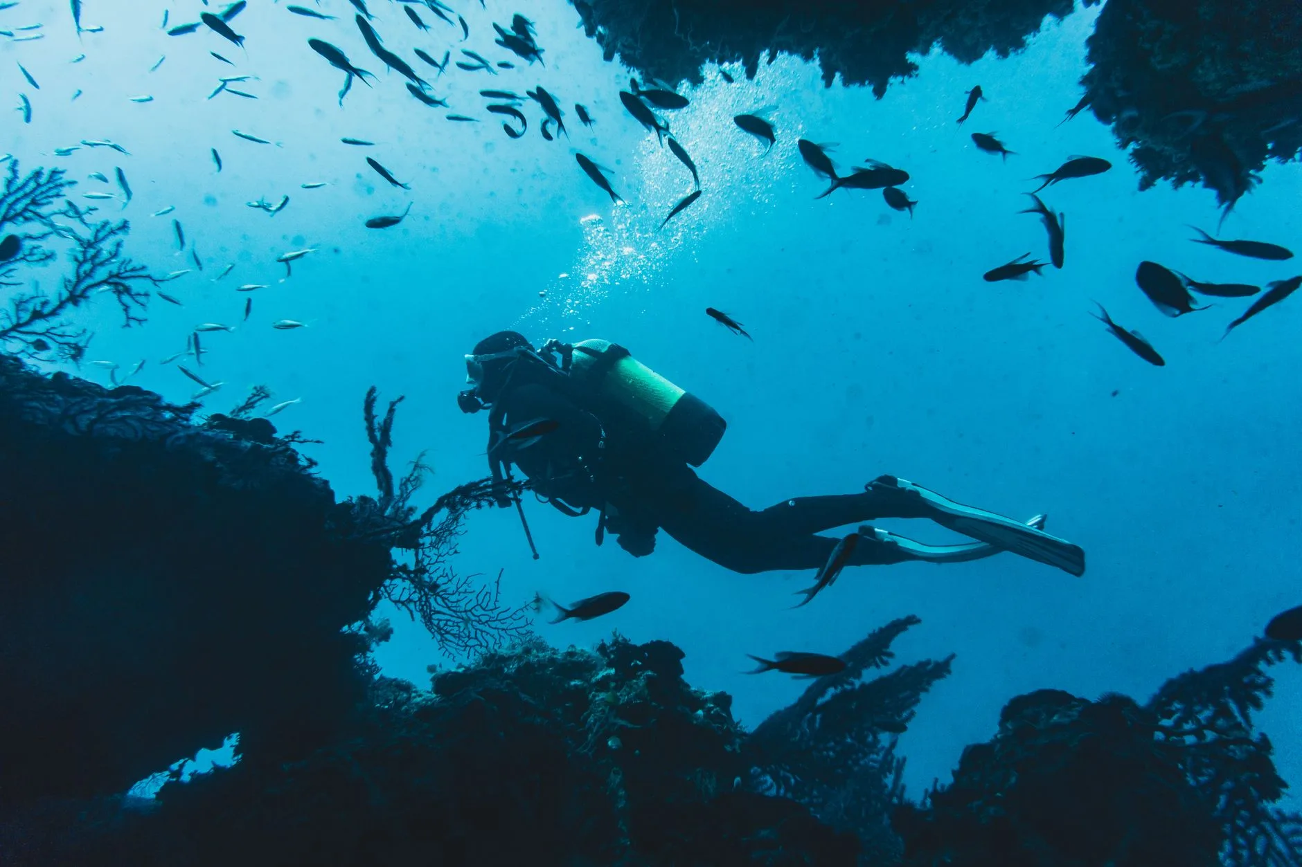 La plongée aux Maldives pour les débutants