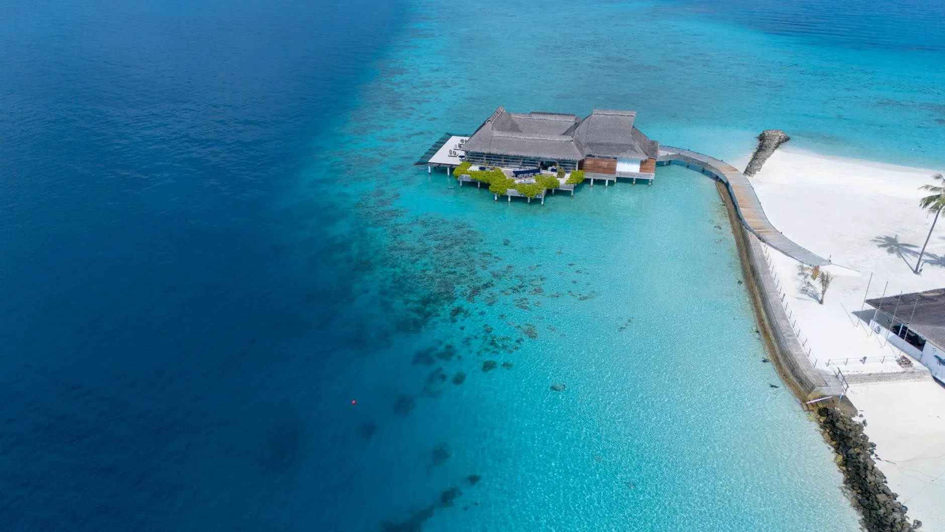 ️ Le resort : l'expérience maldivienne classique