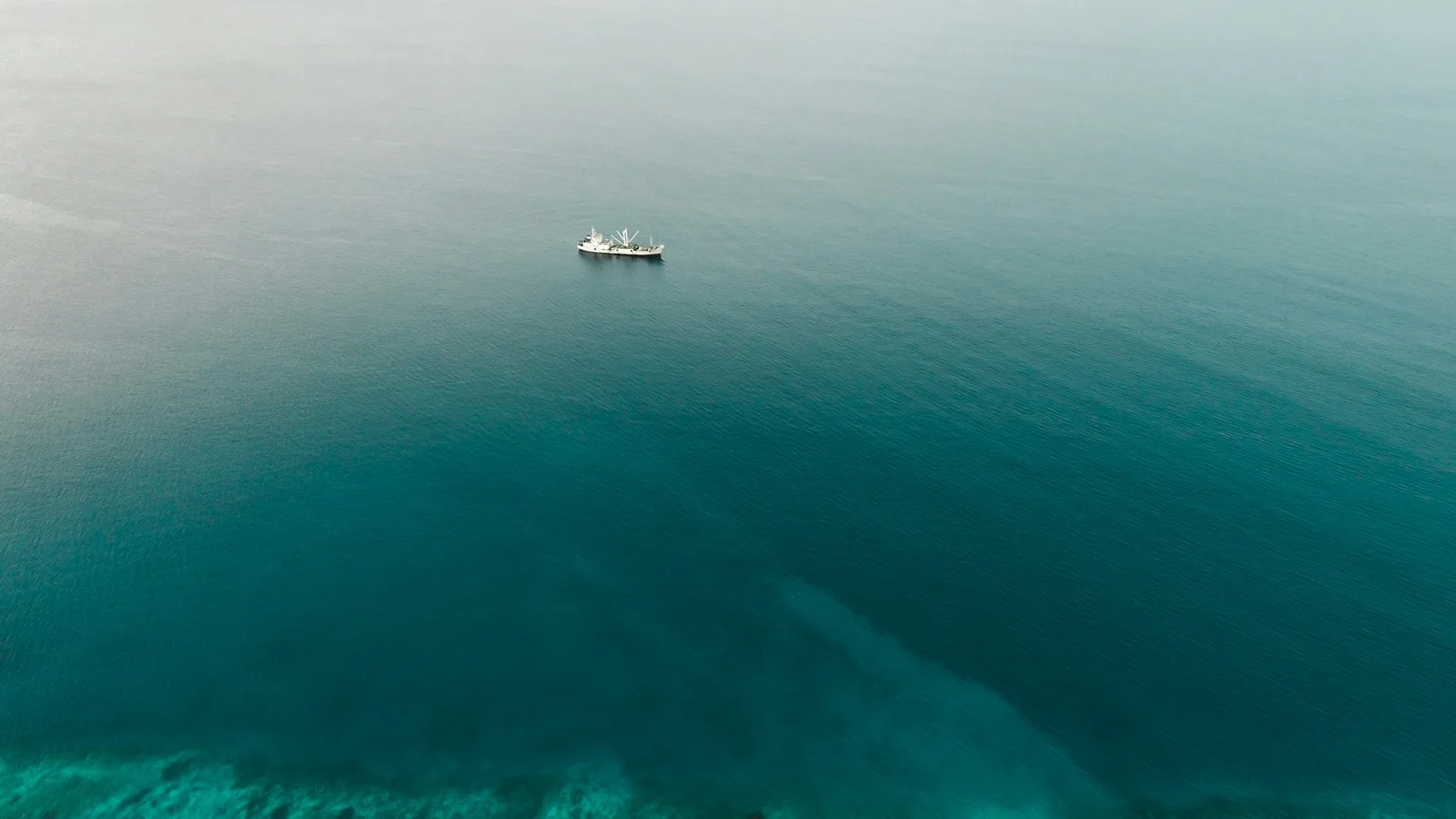 Plongée à Addu City : l'épave British Loyalty et les mantas