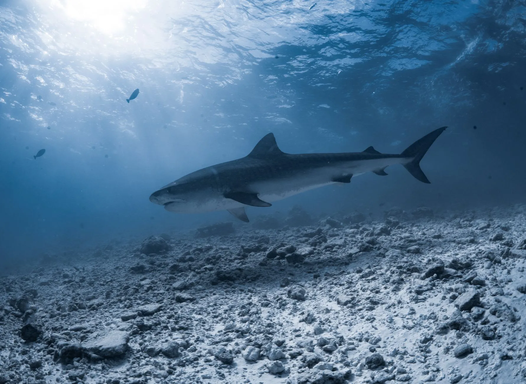 Les autres sites de plongée et snorkeling de l'Atoll d'Addu