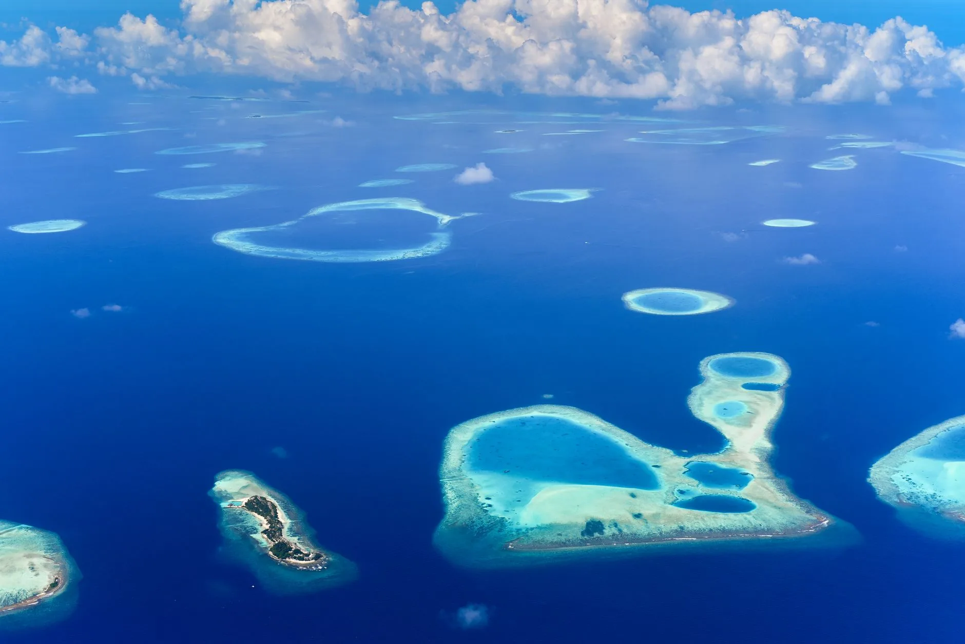 Plongée dans l'Atoll de Malé Nord : les sites emblématiques