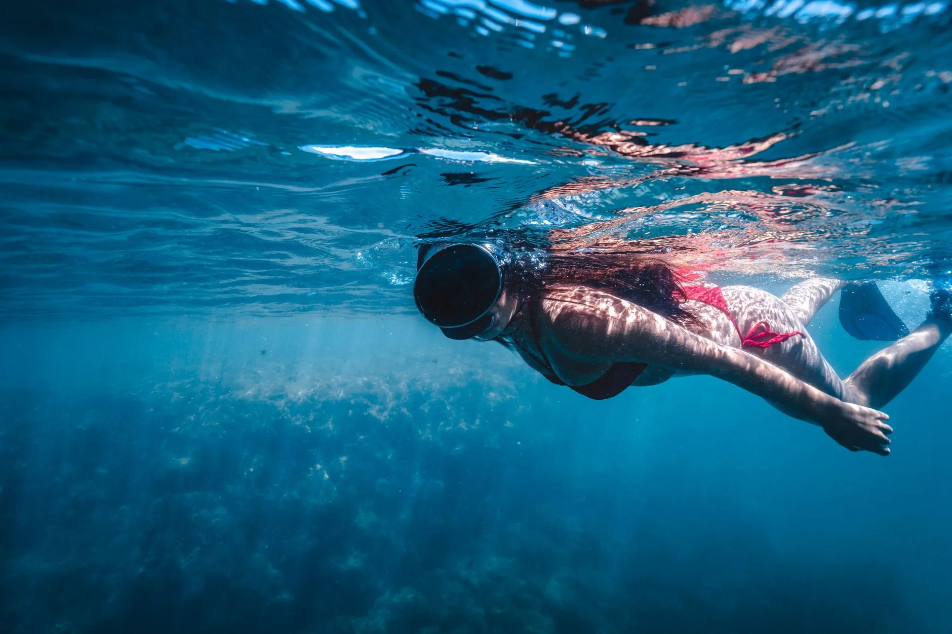 Plongée et snorkeling dans l'Atoll de Malé Sud