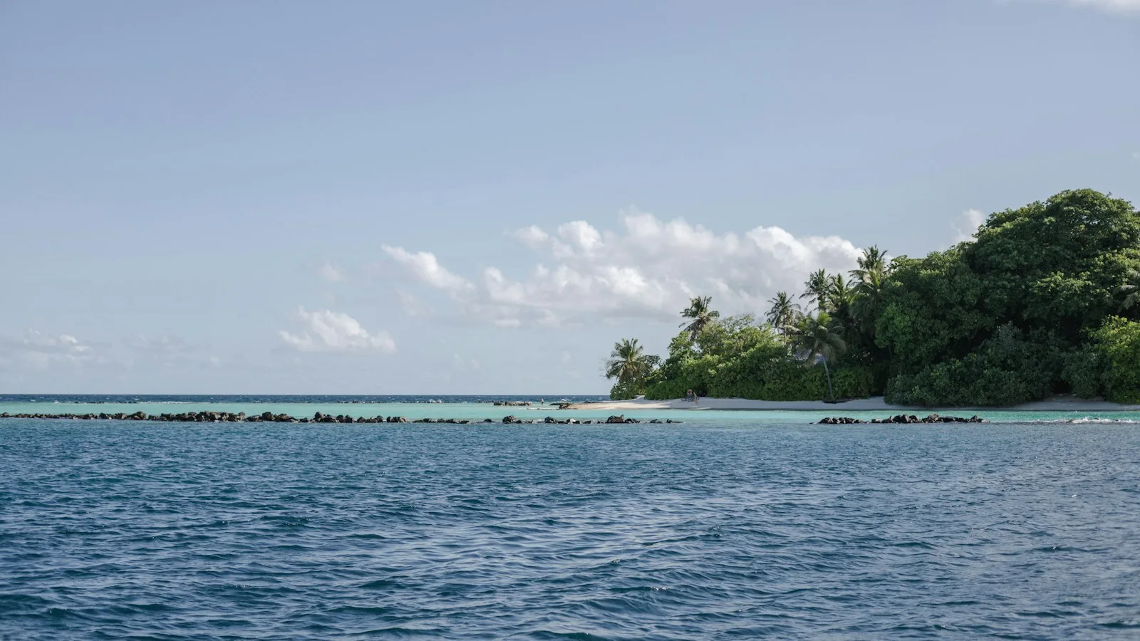 Snorkeling et plongée de jour autour de Rasdhoo